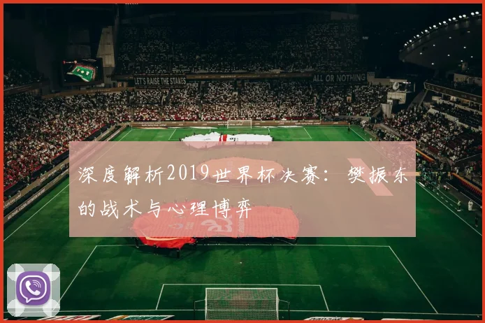 深度解析2019世界杯决赛:樊振东的战术与心理博弈